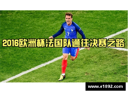 西班牙欧洲杯：胜利之路与失意挑战