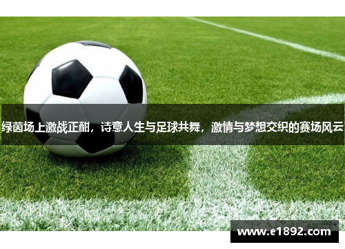 绿茵场上激战正酣，诗意人生与足球共舞，激情与梦想交织的赛场风云